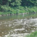 형제민박 이미지