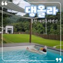 댕올라 | 600평 마당에 수영장까지 강아지가 하루종일 신나하는 홍천 댕올라 애견독채펜션