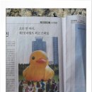 오리한마리 이미지