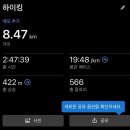 장산로1 | 해운대 장산 억새밭 | 대천공원 체육공원 억새밭까지 여자 혼자 등산 후기