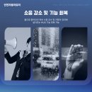 평창자동차유리