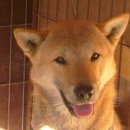 참진축산 이미지