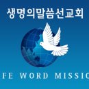 생명의 말씀 선교회, 왜 이단으로 규정되었나? 이미지