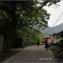 상관편백숲 공영주차장 이미지