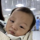 청진에듀 | 창원 삼성병원 8갤 아기 입원 후기(다인실)