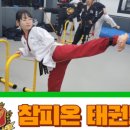 레인보우 태권도장 이미지