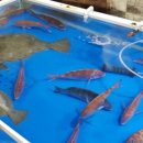 남쪽바다민박 이미지