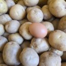 알뜰 농장 이미지