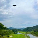 베뉴지 cc 이미지