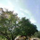 대관령솔내음오토캠핑장 이미지