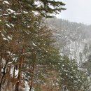 체르마트 이미지