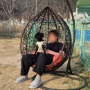 올레애견펜션