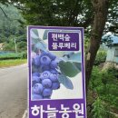 하늘숲황토펜션 이미지