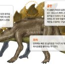스테고사우루스-1 이미지