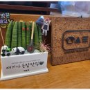 스시마시토 - 경산시 성암로13길 2 | 스시마시토