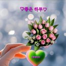 7월 17일(금)출석글/비타민을 드립니다♡ 이미지