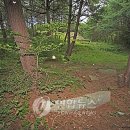 신돈플러스 이미지