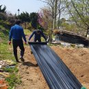 갈미농장 이미지