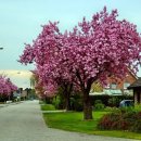 작은 행복 전도사 이미지