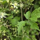 도룡경로당 이미지