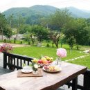 하얀나무펜션 이미지