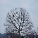 늘건강온누리 약국 이미지