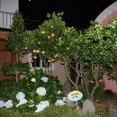 산야별장 이미지