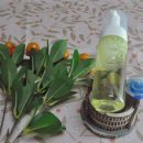 코코피부 이미지