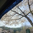 중랑캠핑숲 | 중랑캠핑숲 8-5 자리 후기 / 타프 대여 전자레인지 사용