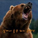 가나유