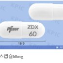 체중 증가 부작용이 없는 지프라시돈(젤독스) 이미지