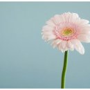 에이블 행정사 사무소 이미지