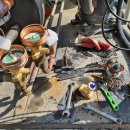 승일축산 이미지