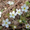 부천자연생태공원 이미지