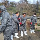 군산축산 이미지