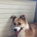 홍제천자동차공업사 이미지