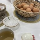 라이트바디짐 | 대전바디관리 “라이트바디해독센터” 온열 해독기 찐 후기!