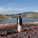 순천만 그리고 나 | 순천만국가정원 튤립축제 주말 주차 스카이큐브 탑승후기