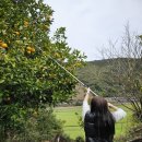 부산마케팅고등학교 이미지