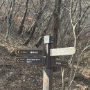 애경자동차 | [가평 운악산 애견동반] 출렁다리, 카페 스너글리 안 강아지 동반 후기 (출렁다리 공지 보고 방문하세요!!)