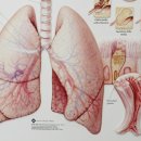 삼성맑은내과의원 이미지