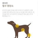 프라임펫