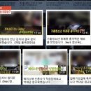 참교육 이미지