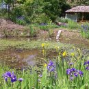 복골농장 이미지