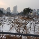 칠보마을9단지(아) 네이버블로그