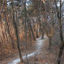 원창고개길 이미지