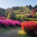 장애인거주시설 아이원 | [충청도여행지/충남]안면도수목원 위치 이용요금 시설안내