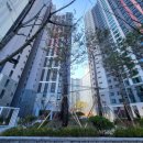 선인공인중개사사무소 이미지