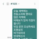 빈대떡신사 이미지