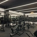 머슬메카 이미지